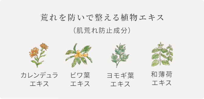 荒れを防いで整える植物エキス